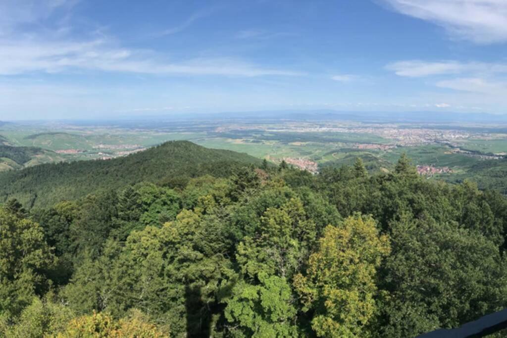 Le Galtz - Gites Marck Амершвир Экстерьер фото